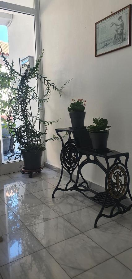 City Garden Πρέβεζα Εξωτερικό φωτογραφία